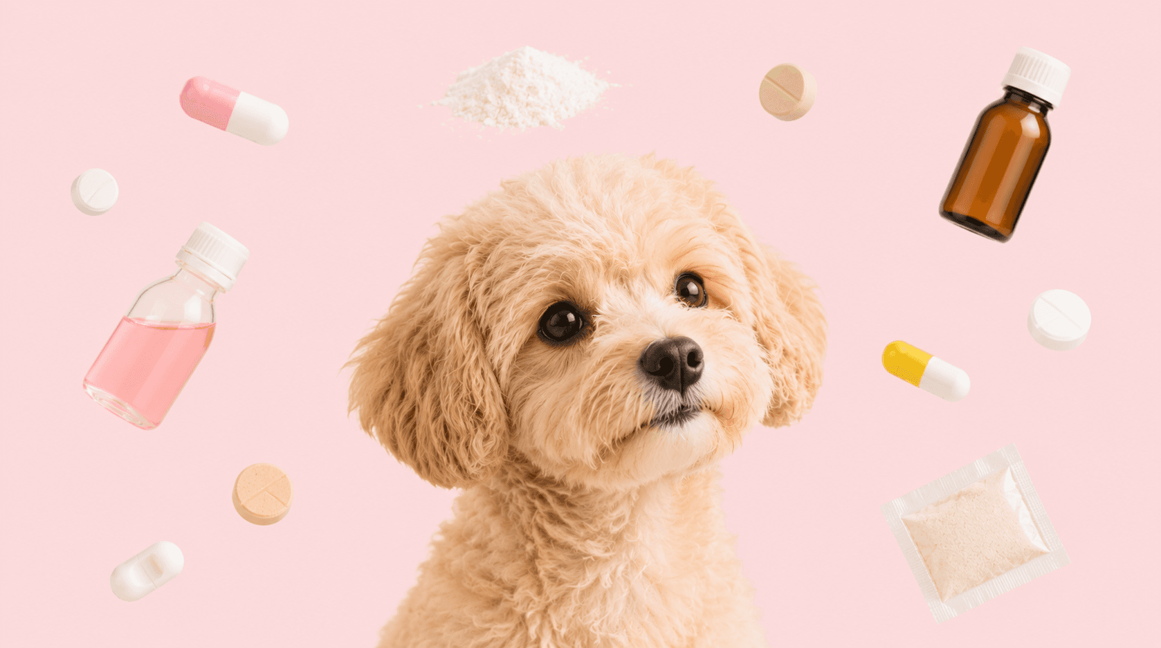 犬猫の薬はなぜ錠剤・粉薬・液体などいろいろある?剤形の違いと選ばれる理由