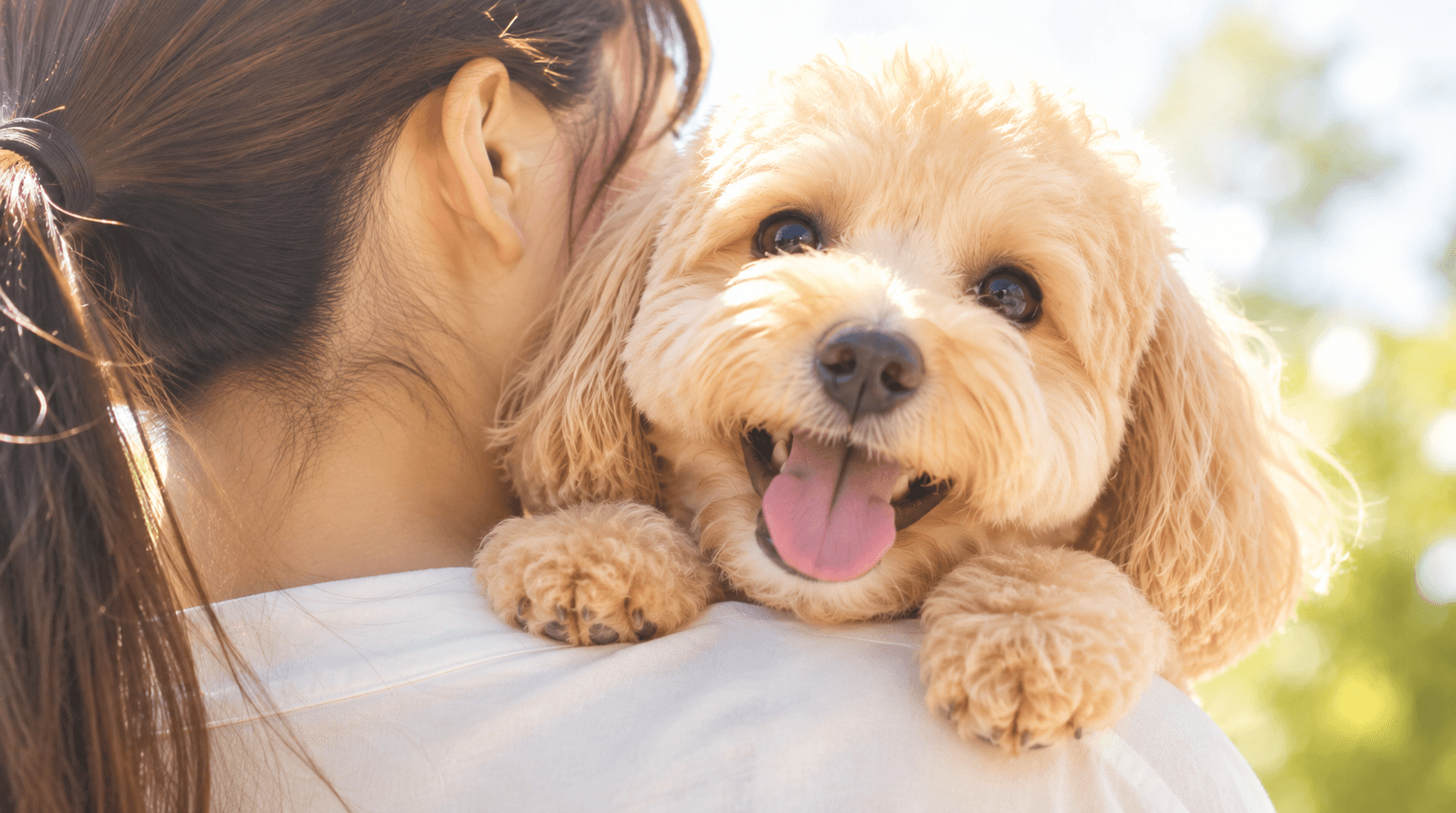 引っ越し・環境が変わるとき、犬猫の薬を安全に続けるための準備