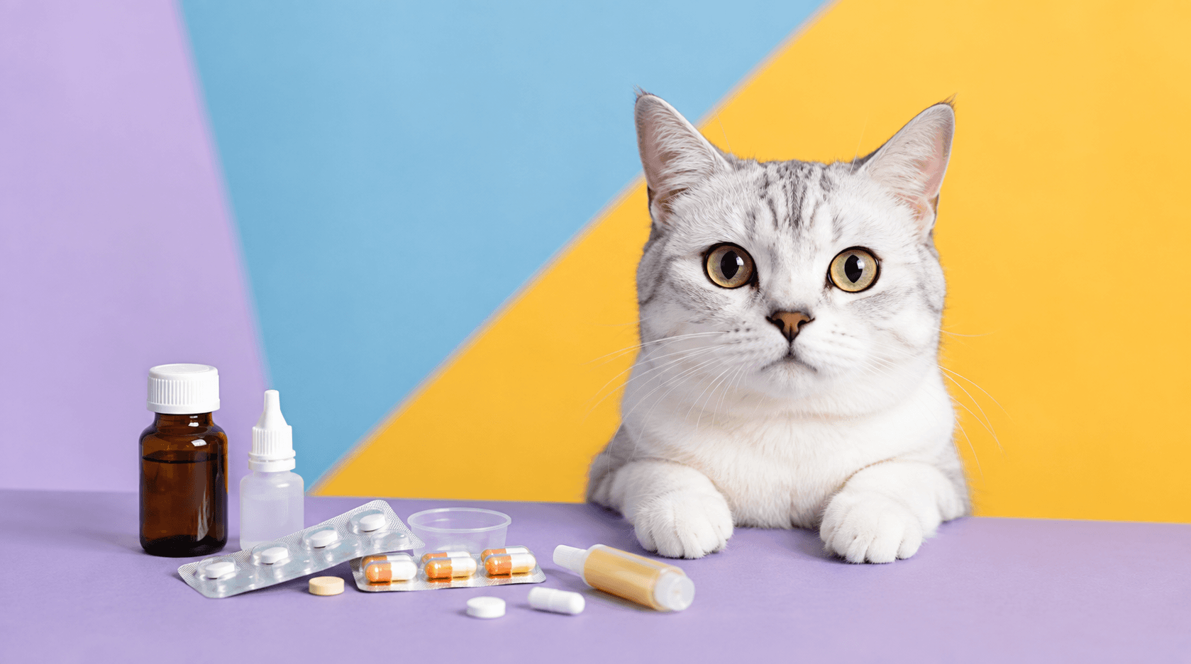 犬や猫に胃薬・整腸剤が併用処方される理由とは?自己判断でやめてはいけないワケ